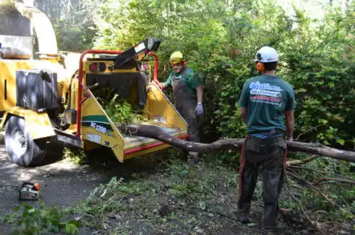 tree services Descanso